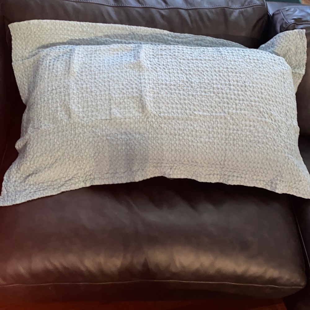 Southern Living King Sham, Aqua, 20” by 36” 100% Cotton